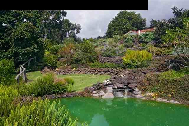893 Middle Road Kula, HI 96790 - Photo 15 of 24 a garden with lots of trees in front of it