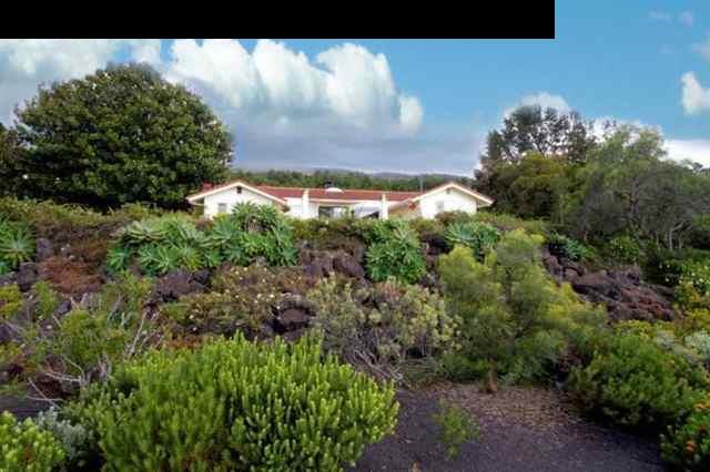 893 Middle Road Kula, HI 96790 - Photo 2 of 24 a view of a yard
