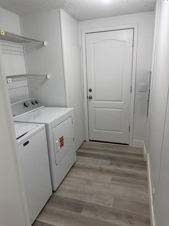 6999 Pompeii Road Orlando, FL 32822 - Photo 9 of 15