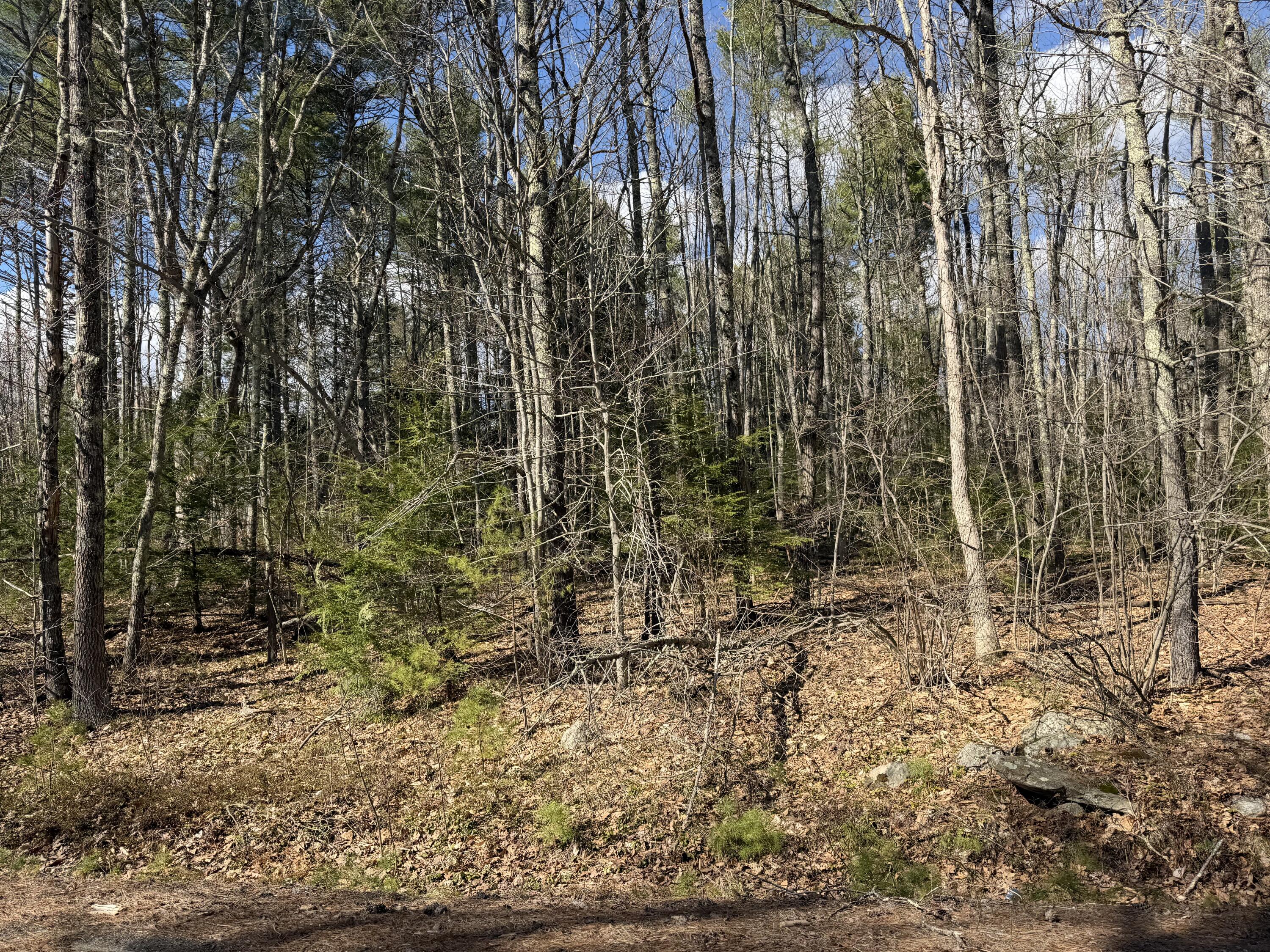 Lot 44 A Windham, ME 04062 - Photo 9 of 9 IMG_4291