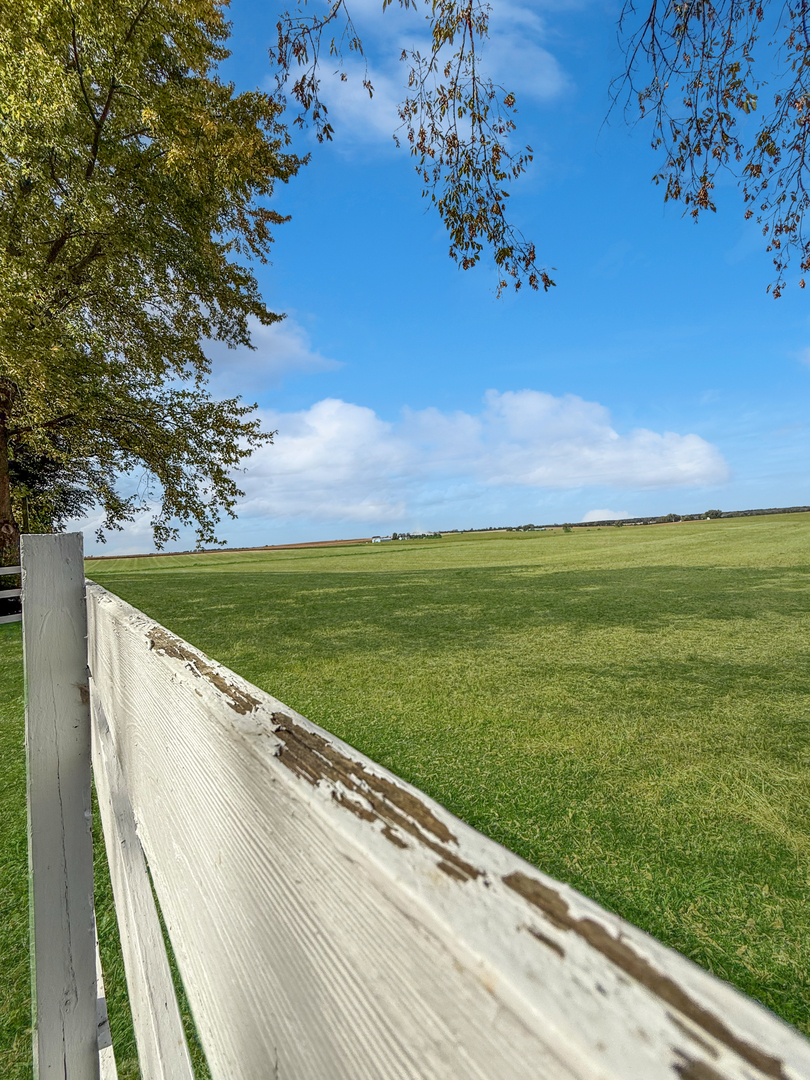 30789 East Five Points Road Kingston, IL 60145 - Photo 9 of 26 a view of a yard with an outdoor space