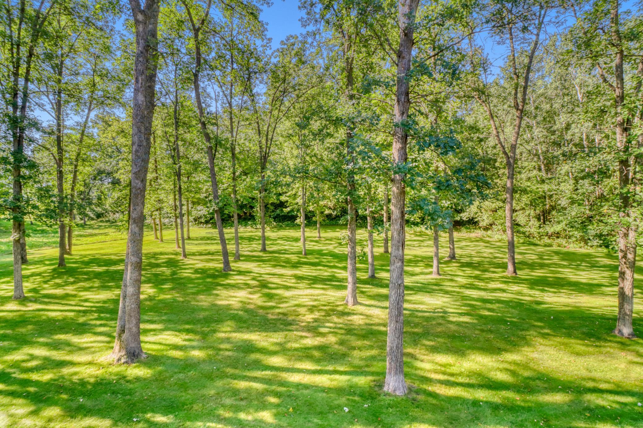 37895 Southwest Height Of Land Drive Rochert, MN 56578 - Photo 36 of 98