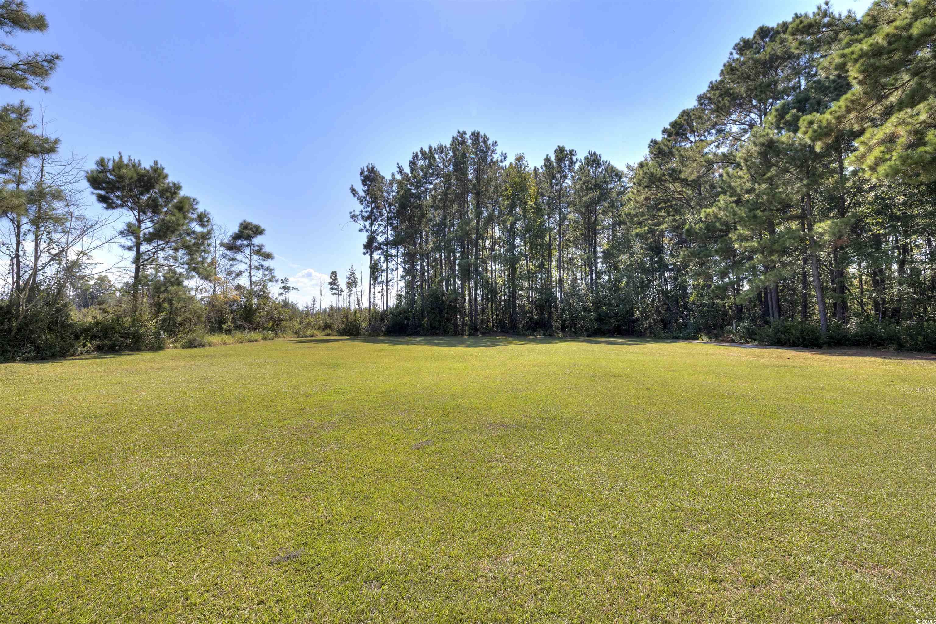4520 Huggins Road Lake City, SC 29560 - Photo 13 of 40 View of green lawn