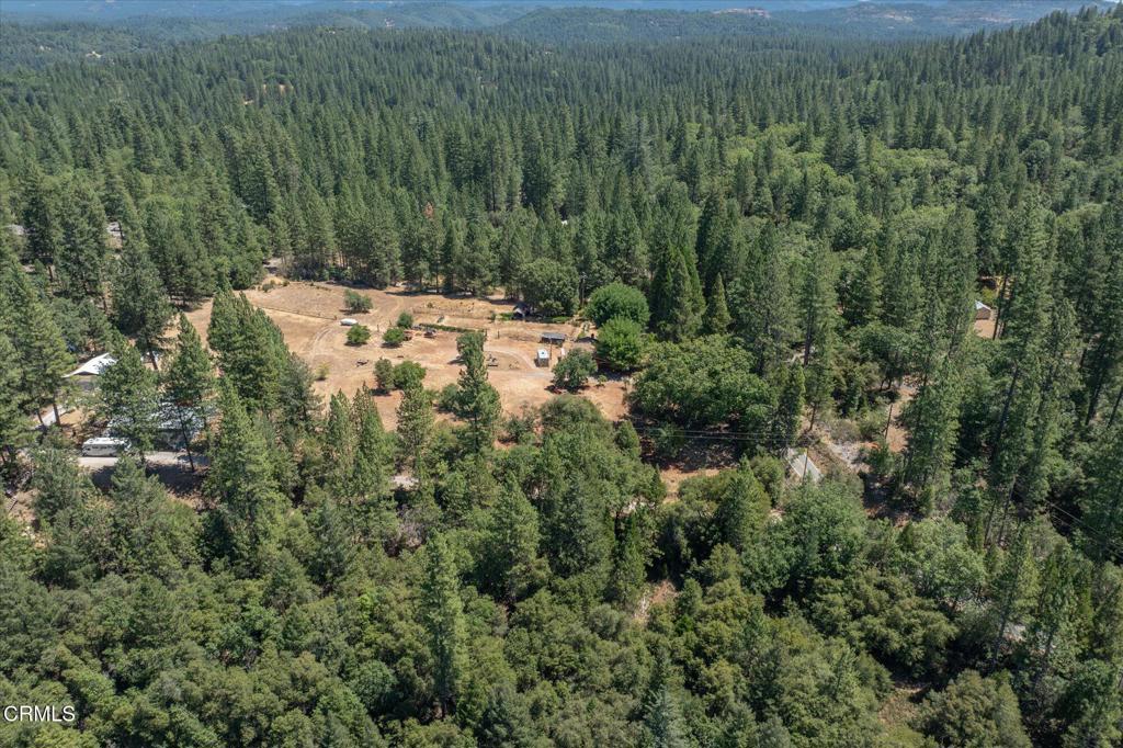 2660 Independence Road Mokelumne Hill, CA 95245 - Photo 31 of 37 a view of a yard