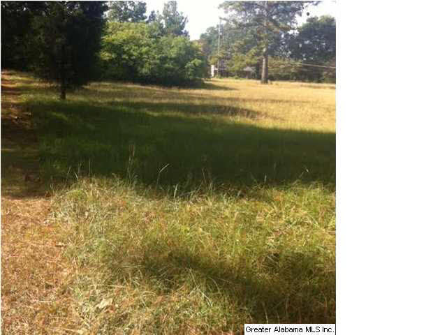 5246 South Shades Crest Road Bessemer, AL 35022 - Photo 3 of 3