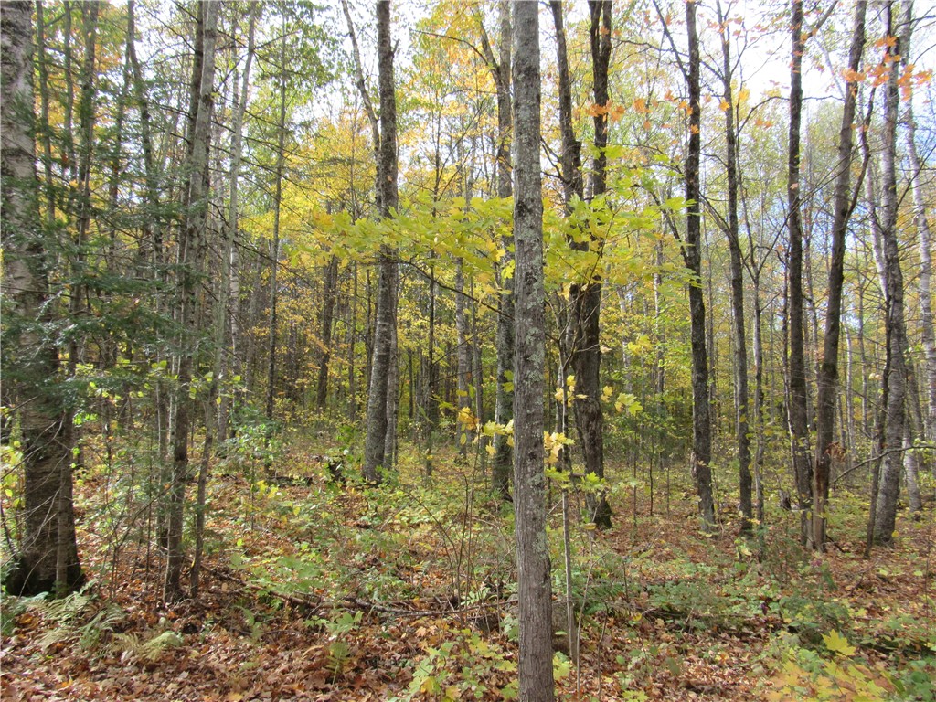 Lot 3 North Scheers Road Hayward, WI 54843 - Photo 4 of 17