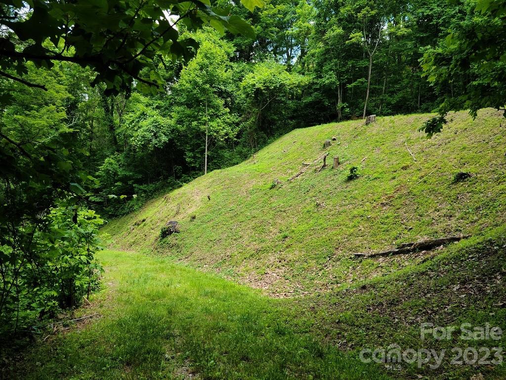 0 Calhoun Ridge Drive, Unit 3 Waynesville, NC 28786 - Photo 5 of 9 Gallery Image 5