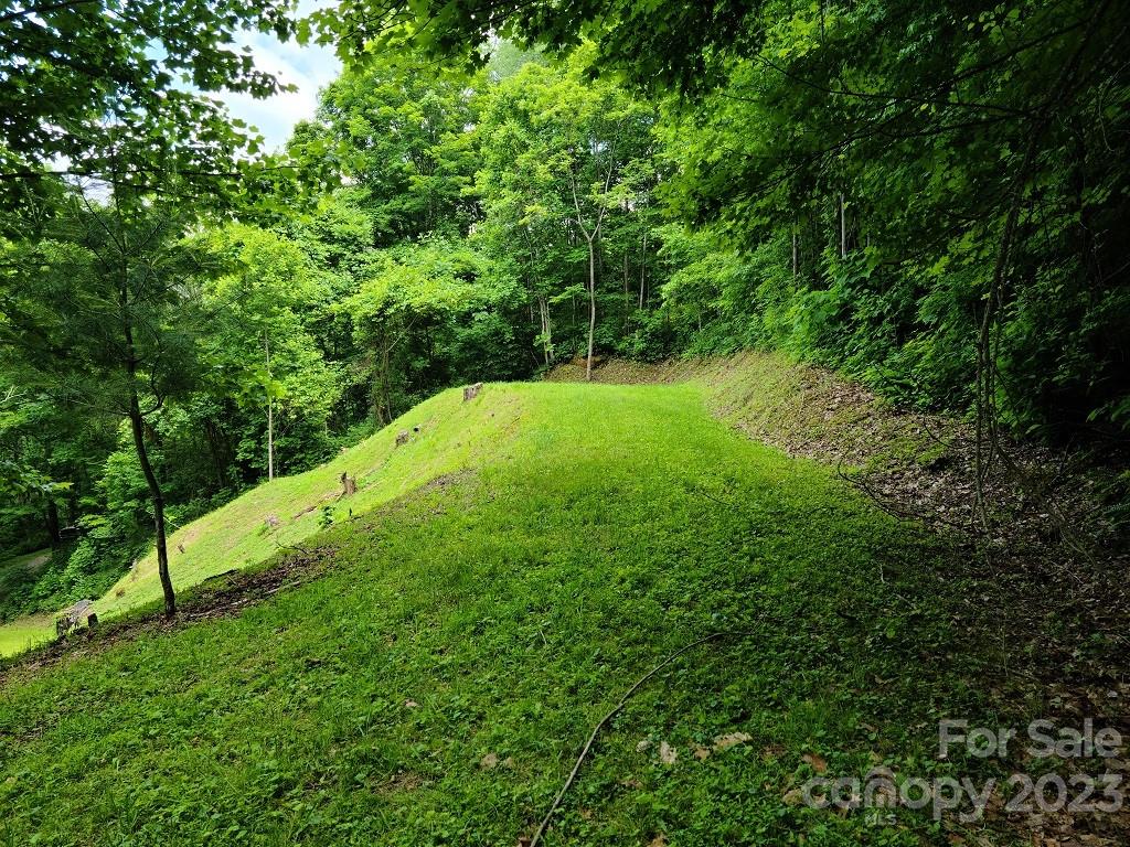 0 Calhoun Ridge Drive, Unit 3 Waynesville, NC 28786 - Photo 6 of 9 Gallery Image 6