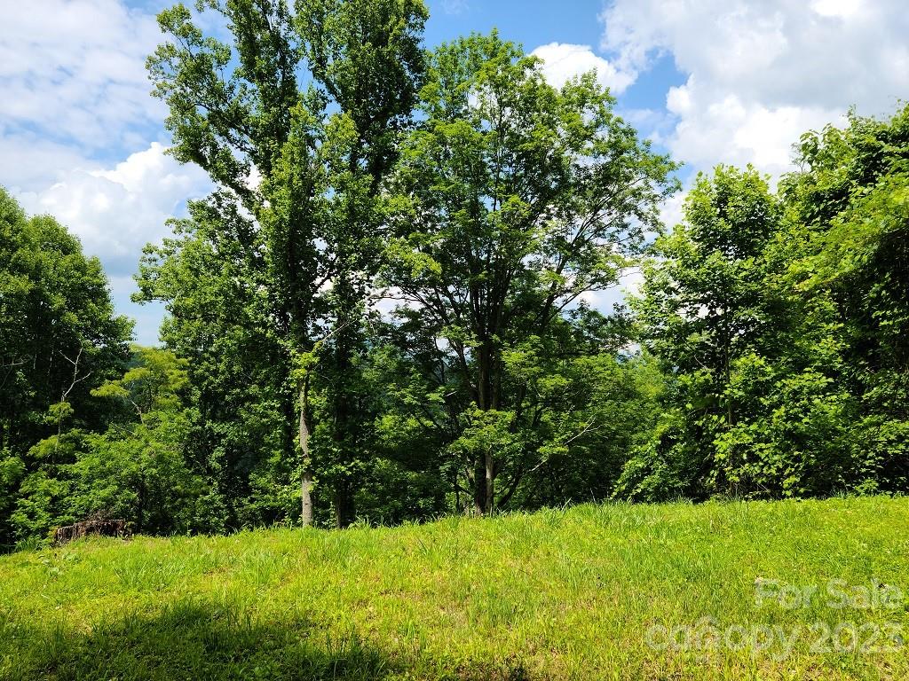 0 Calhoun Ridge Drive, Unit 3 Waynesville, NC 28786 - Photo 7 of 9 Gallery Image 7