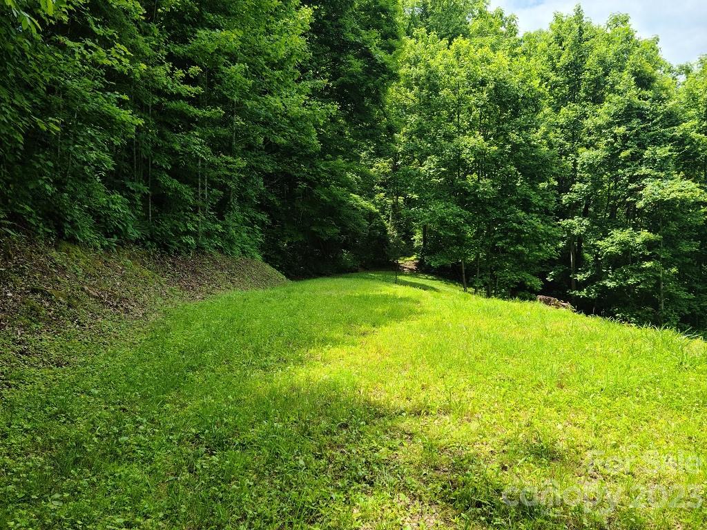 0 Calhoun Ridge Drive, Unit 3 Waynesville, NC 28786 - Photo 8 of 9 Gallery Image 8