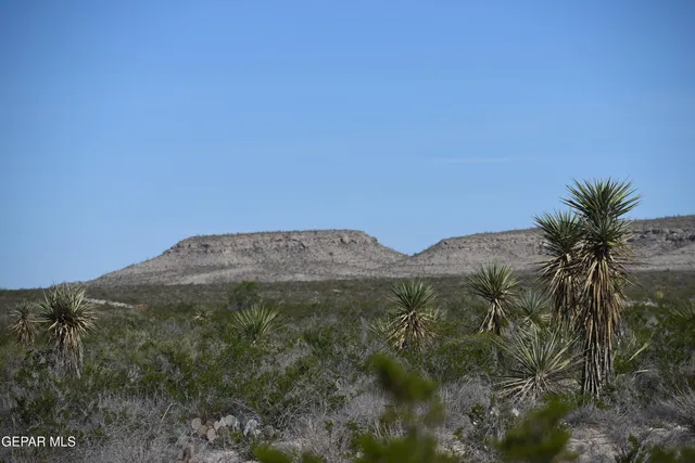 a view of a city with a mountain in the background