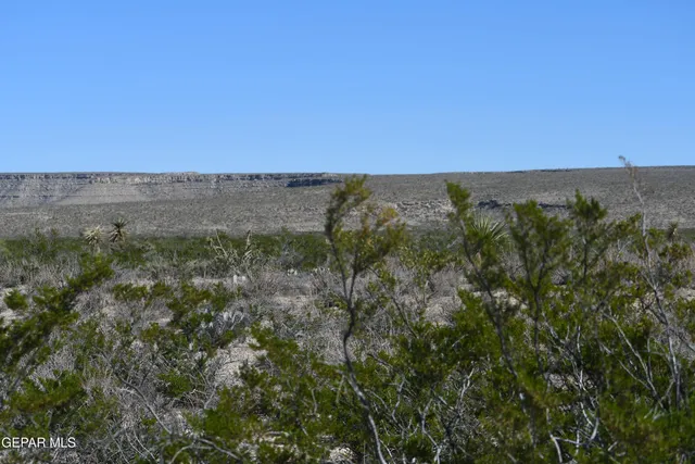 a view of a green field