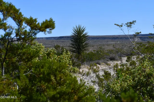 a view of a dry yard with mountains in the background
