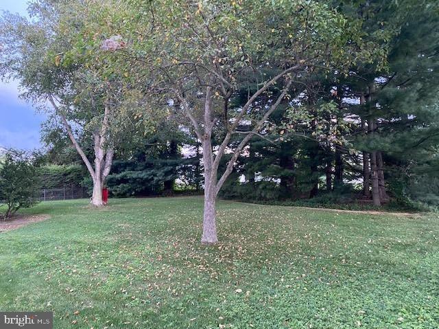 17 Becker Drive Lititz, PA 17543 - Photo 3 of 50 fantastic yard, summer view