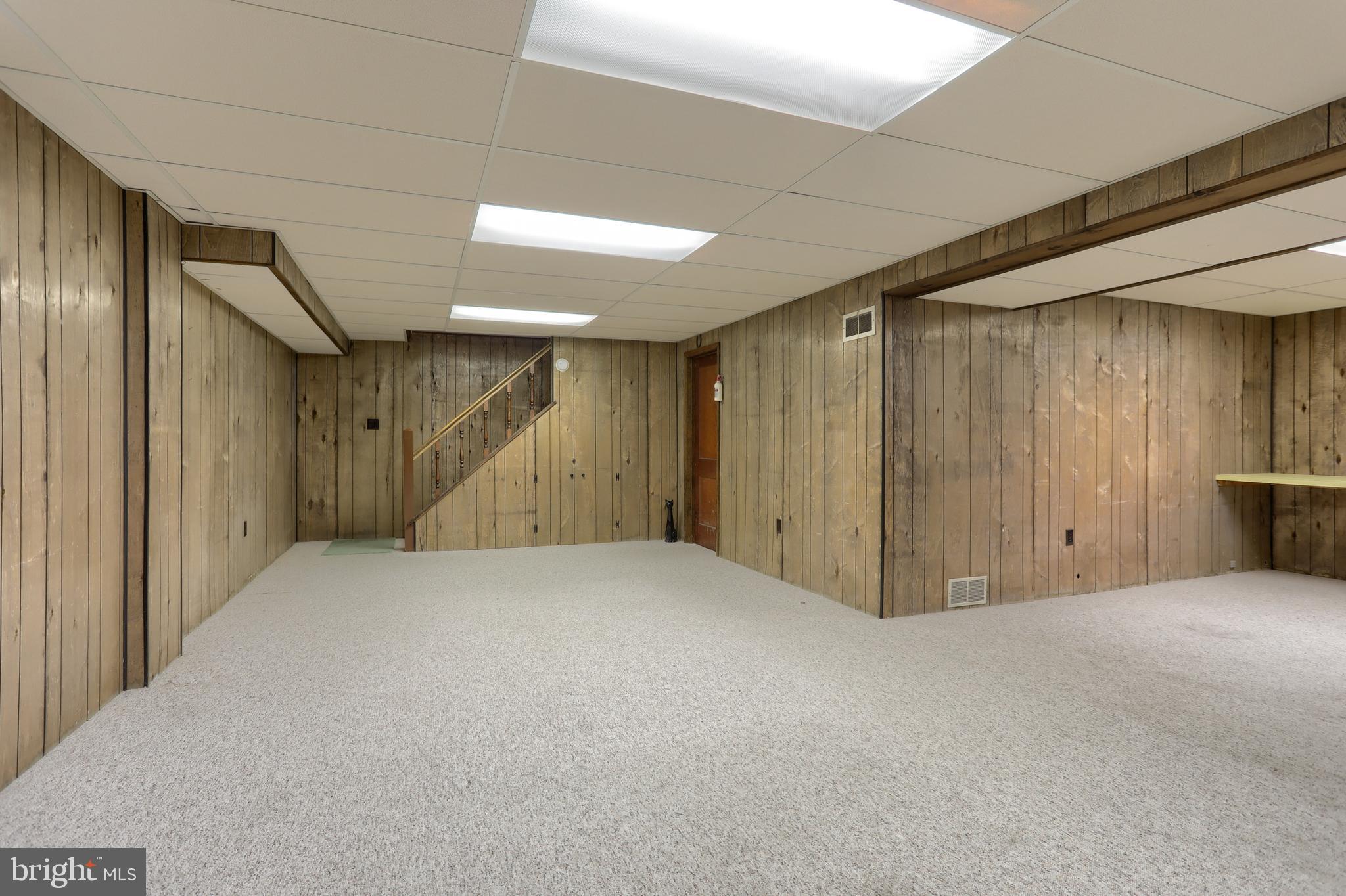 17 Becker Drive Lititz, PA 17543 - Photo 40 of 50 carpet and paneling