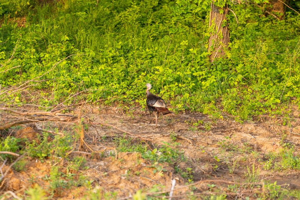 0 Little Platte Road Edgerton, MO 64444 - Photo 41 of 53