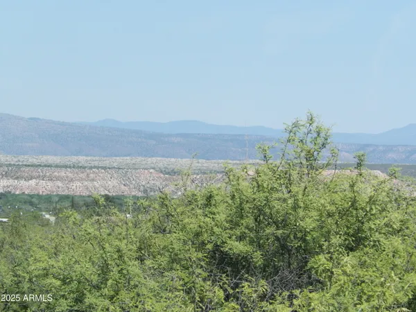 a view of a field with plants and trees in the background