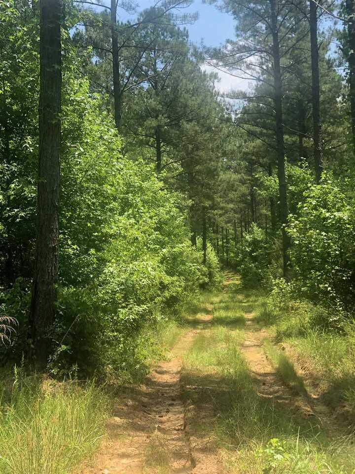 1830 Springfield Road Sparta, GA 31087 - Photo 1 of 1