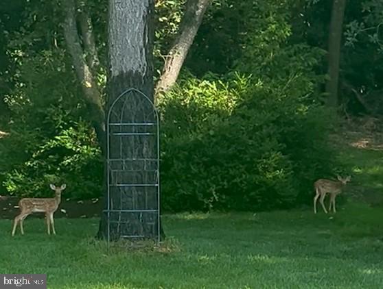 5 Rivers End Drive Seaford, DE 19973 - Photo 60 of 65