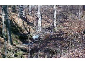 Rr4 State Rd 54 Bloomfield, IN 46426 - Photo 2 of 7
