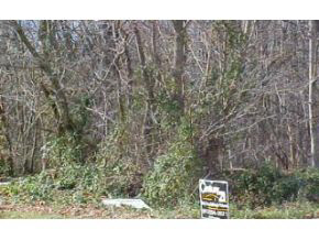 Rr4 State Rd 54 Bloomfield, IN 46426 - Photo 7 of 7
