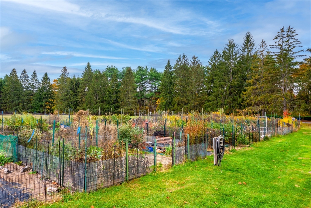 134 Chestnut Circle, Unit 134 Lincoln, MA 01773 - Photo 36 of 38 a view of a garden