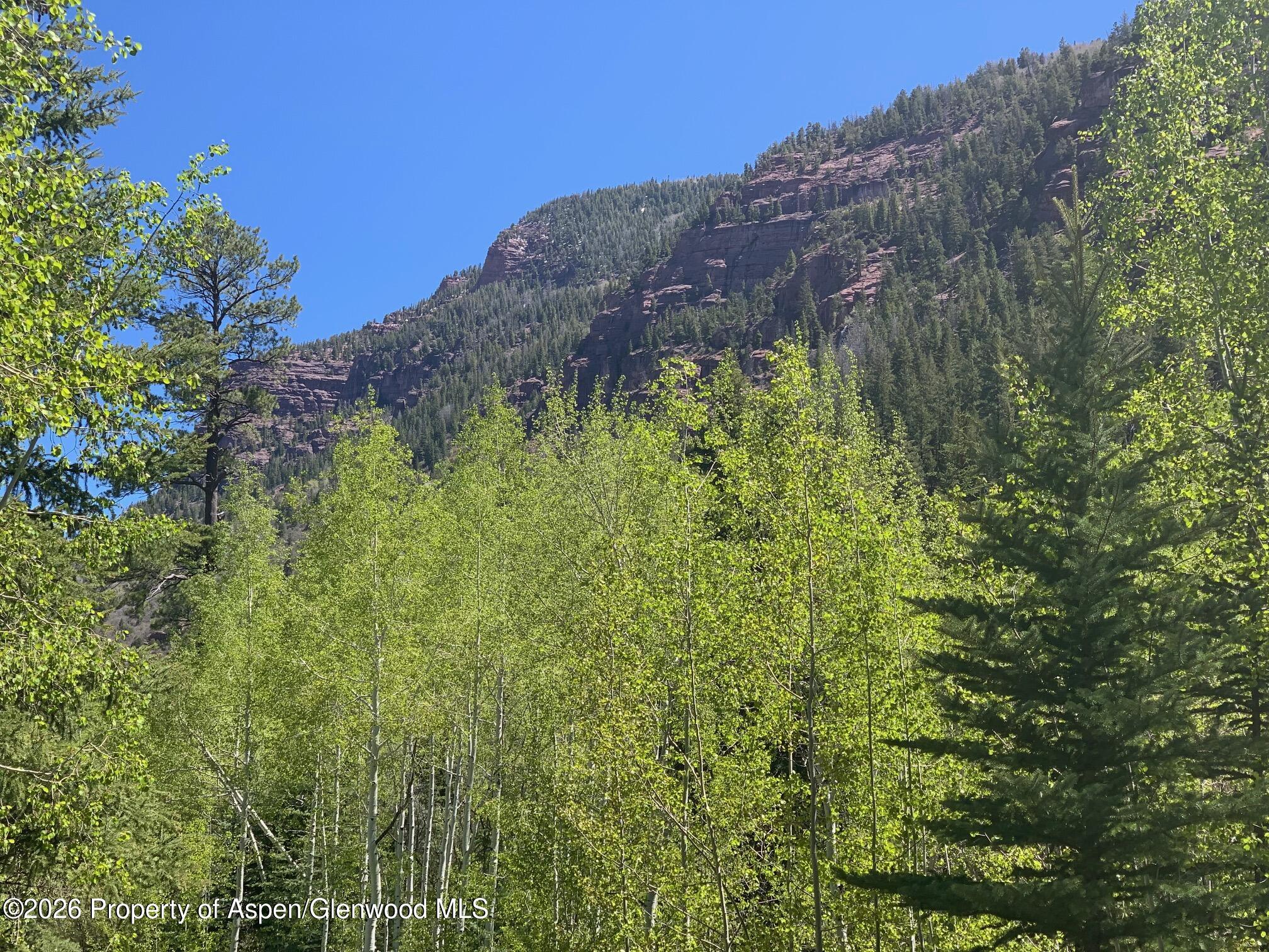 315 Firehouse Road Redstone, CO 81623 - Photo 1 of 5 a backyard of a house with lots of green space