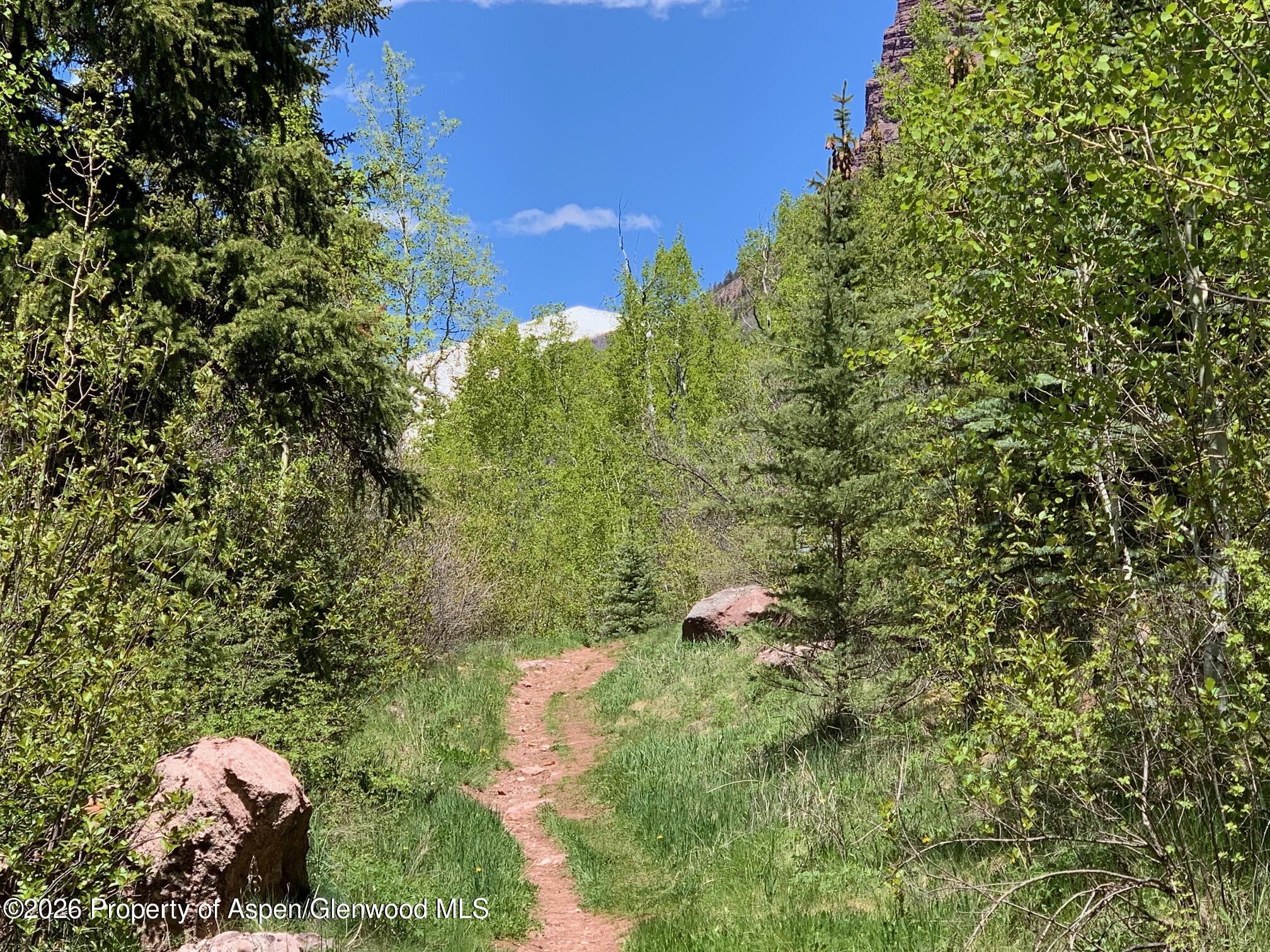 315 Firehouse Road Redstone, CO 81623 - Photo 2 of 5 a view of a yard