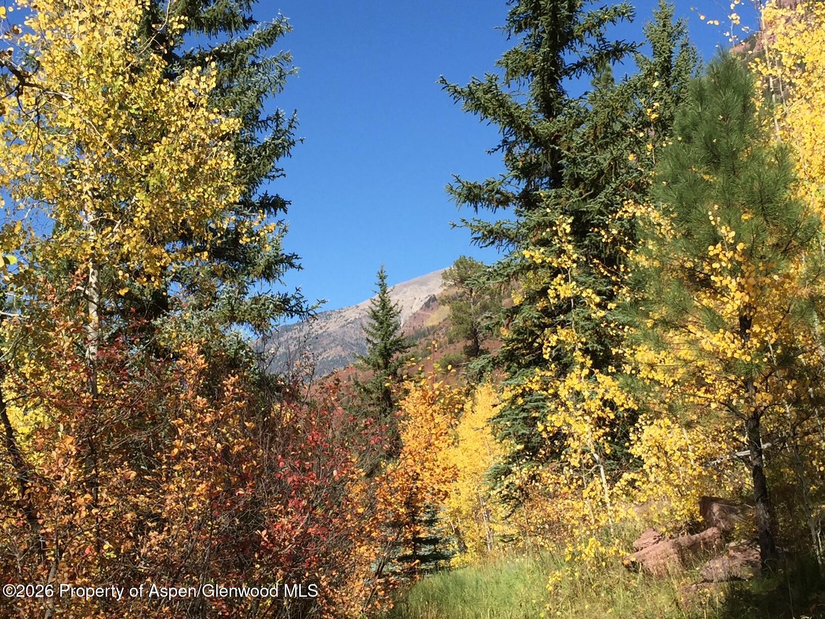 315 Firehouse Road Redstone, CO 81623 - Photo 5 of 5 a view of a tree
