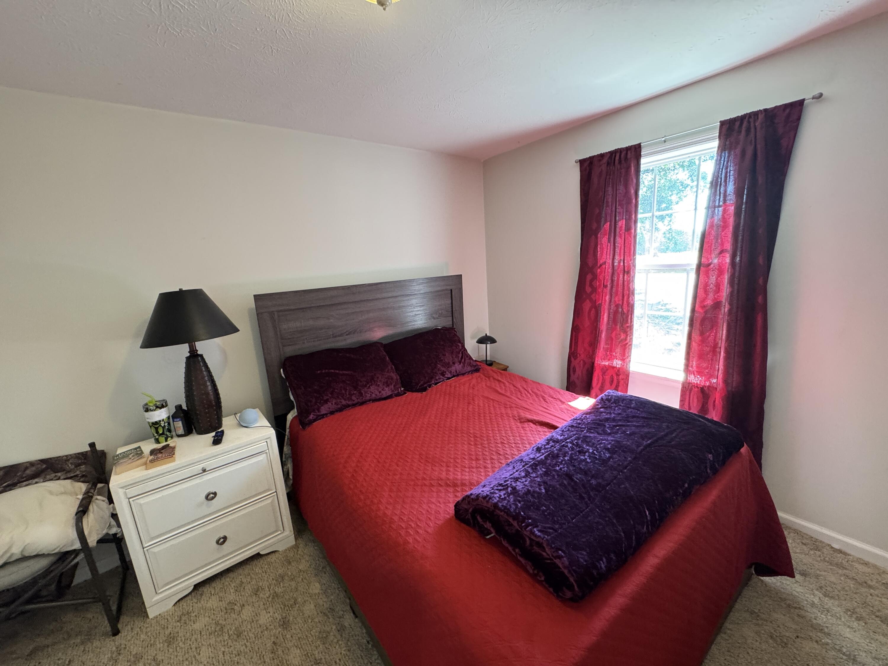 389 Skyland Farm Road Williston, SC 29853 - Photo 17 of 25