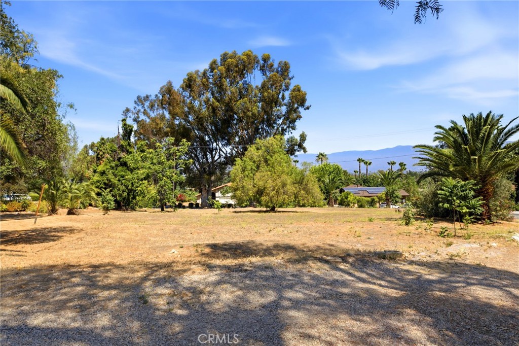 1464 Pacific Street Redlands, CA 92373 - Photo 27 of 32