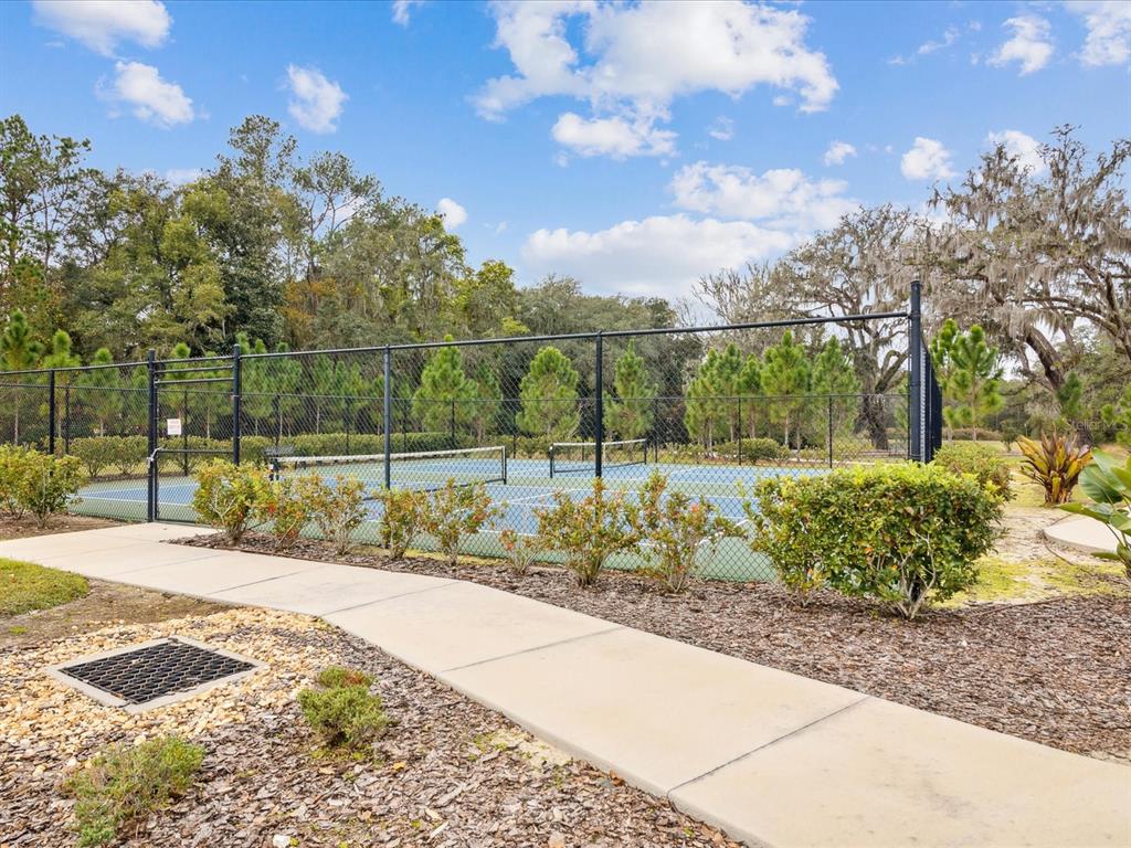 5219 Cappleman Loop Brooksville, FL 34601 - Photo 51 of 60 a view of a backyard