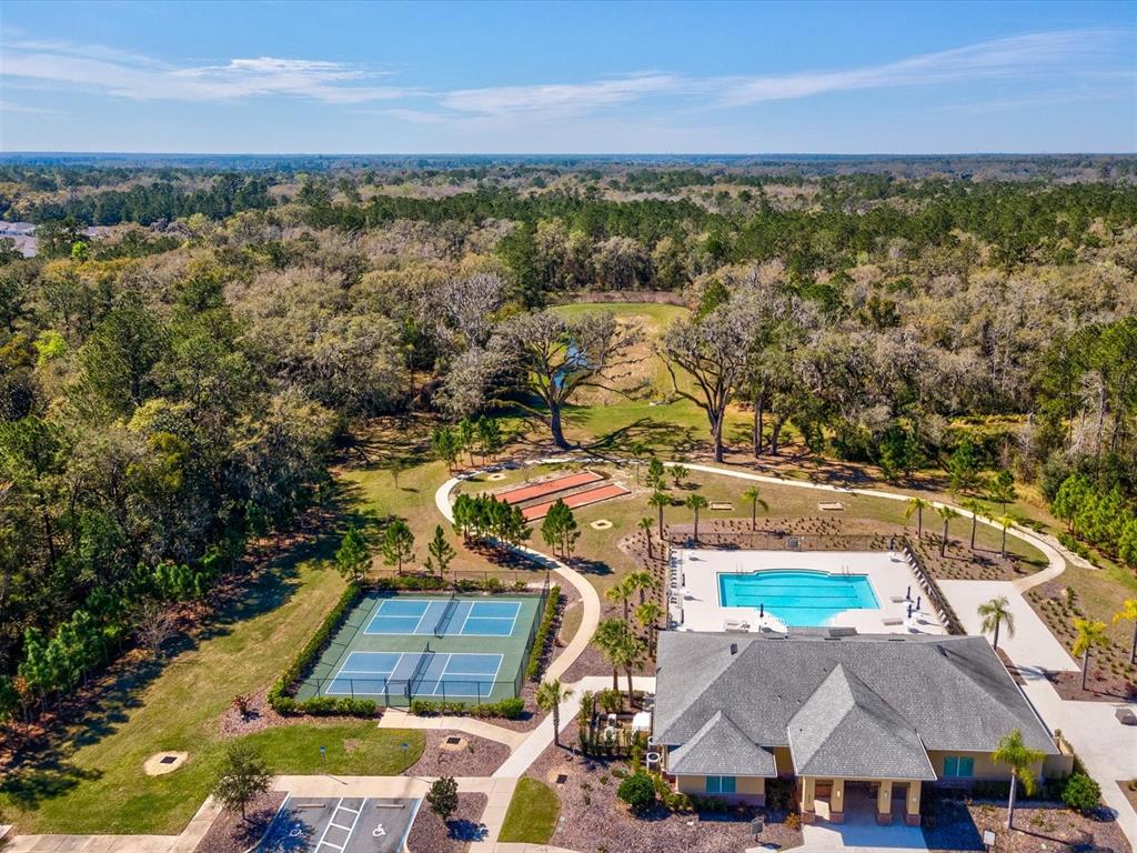 5219 Cappleman Loop Brooksville, FL 34601 - Photo 58 of 60 an aerial view of residential houses with outdoor space and trees