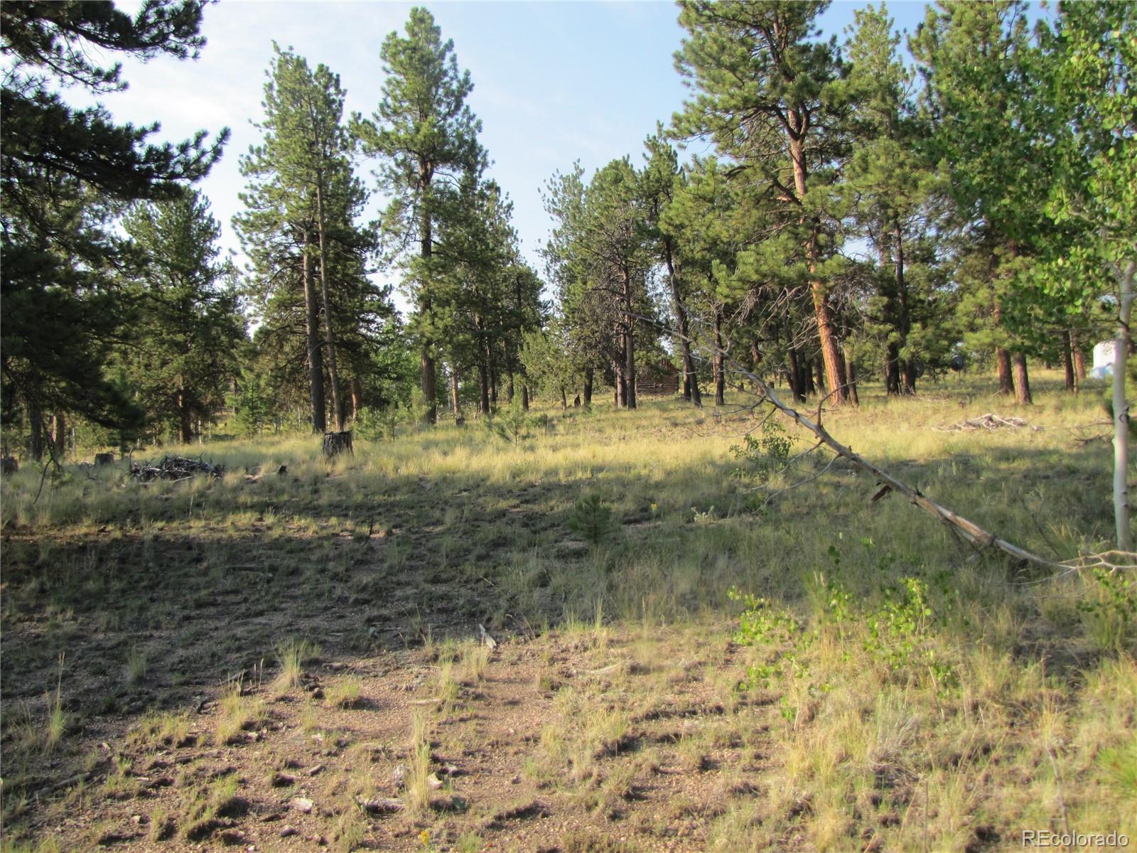 9736 Ranch Road Hartsel, CO 80449 - Photo 8 of 30 Gallery Image 8