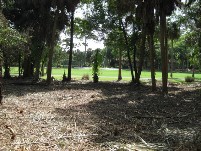 A9 Oristo Ridge, Unit 536 Edisto Island, SC 29438 - Photo 22 of 24 536 Oristo mowed (2)