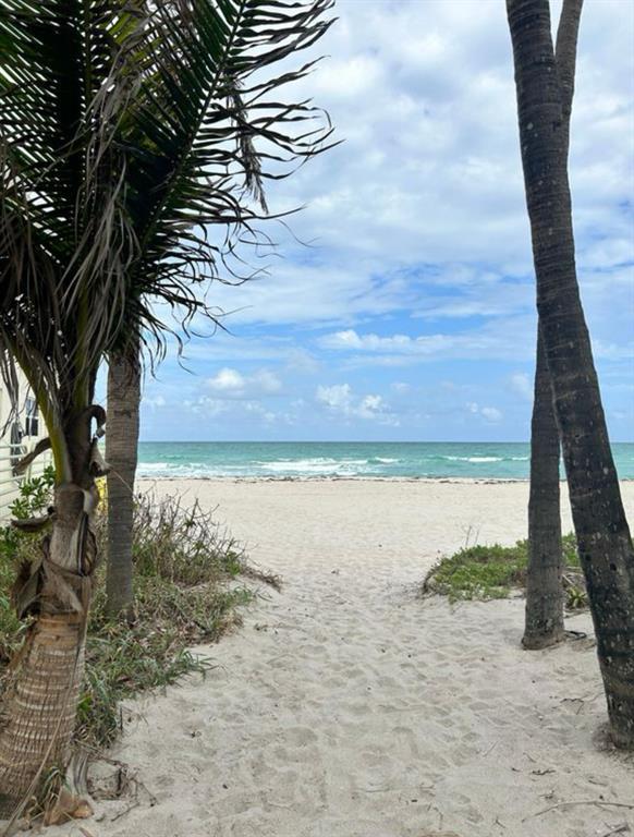 347 Elm Street Hollywood, FL 33019 - Photo 15 of 15