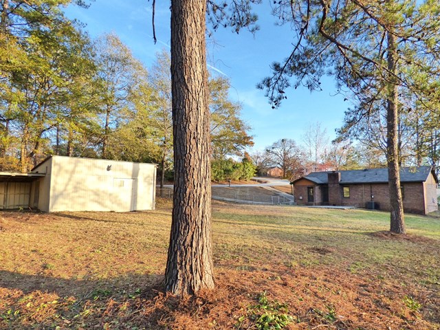 20 Ford Road Phenix City, AL 36869 - Photo 14 of 15 a view of a yard with a tree