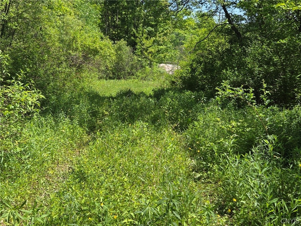 446 Nys Route Cuba, NY 14727 - Photo 9 of 47