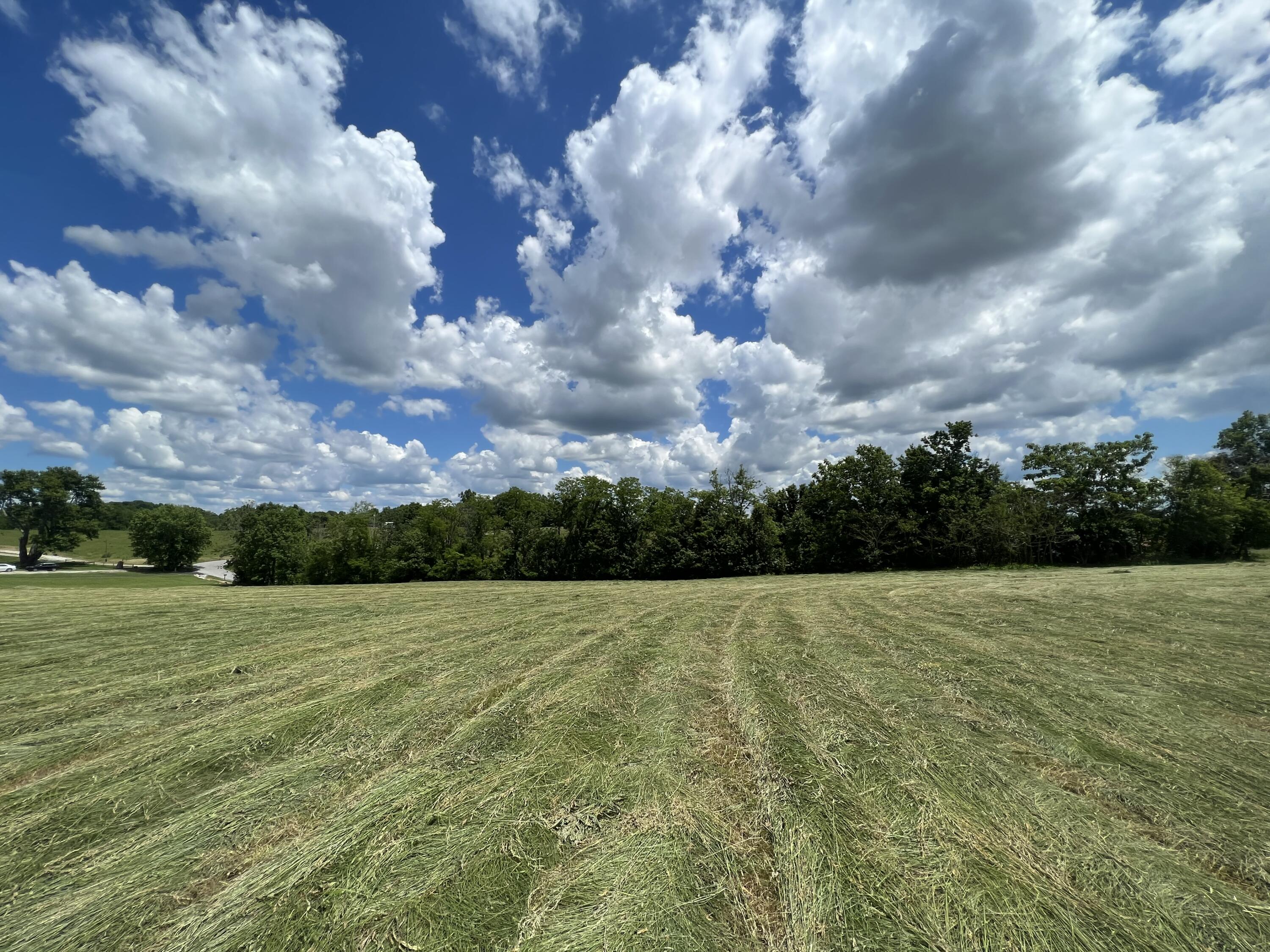 9999 Chestnut Grove Road Brodhead, KY 40409 - Photo 21 of 67 86366CC2-2C0E-440E-A0D3-8F18A1F31225