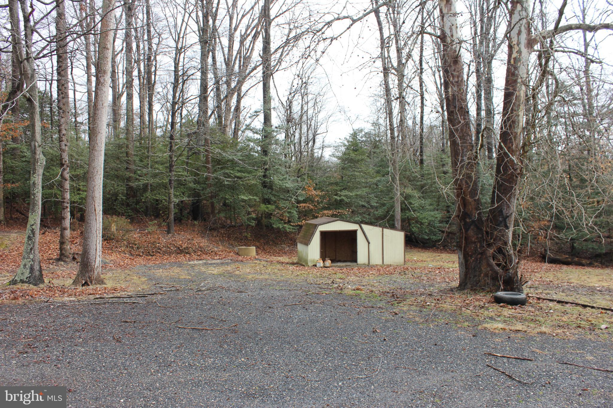 43447 Drum Cliff Road Hollywood, MD 20636 - Photo 5 of 37 a view of a backyard with large trees and wooden fence