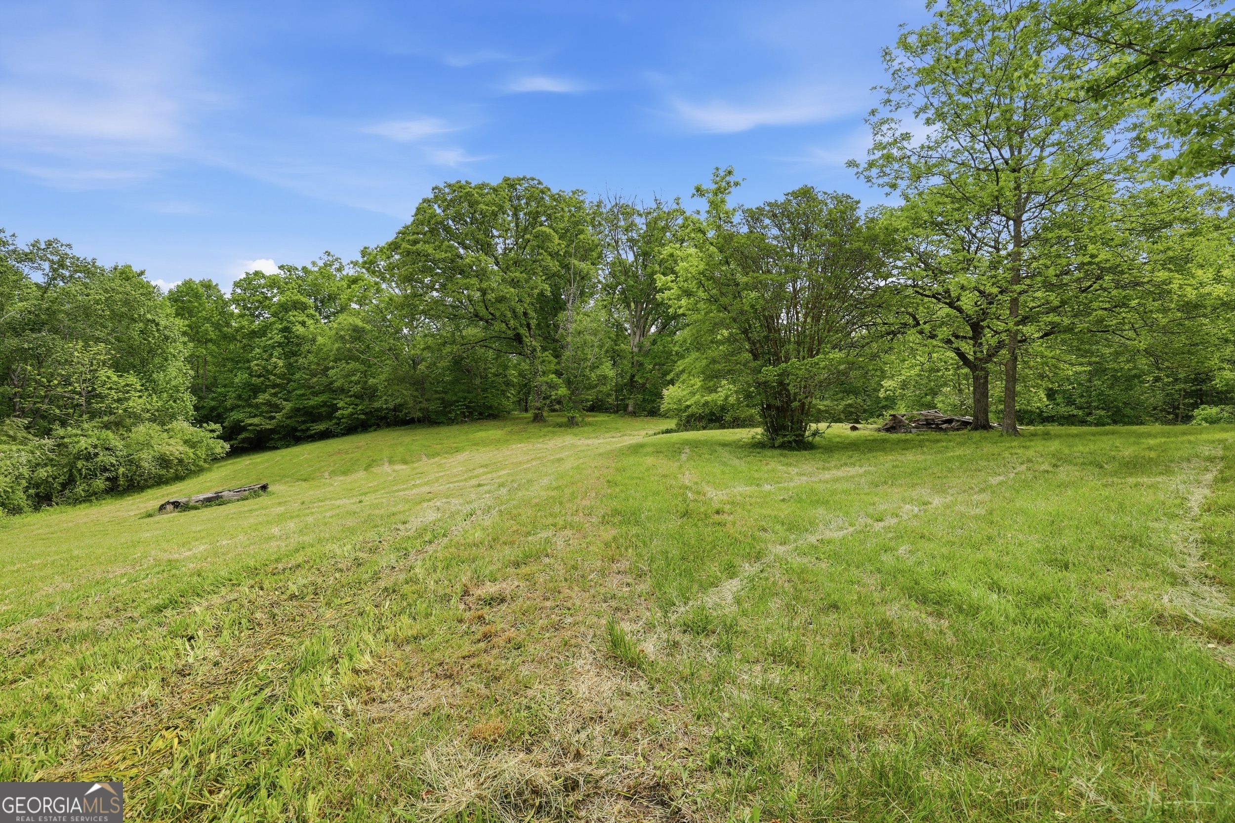 2558 Stonepile Road Clarkesville, GA 30523 - Photo 9 of 26
