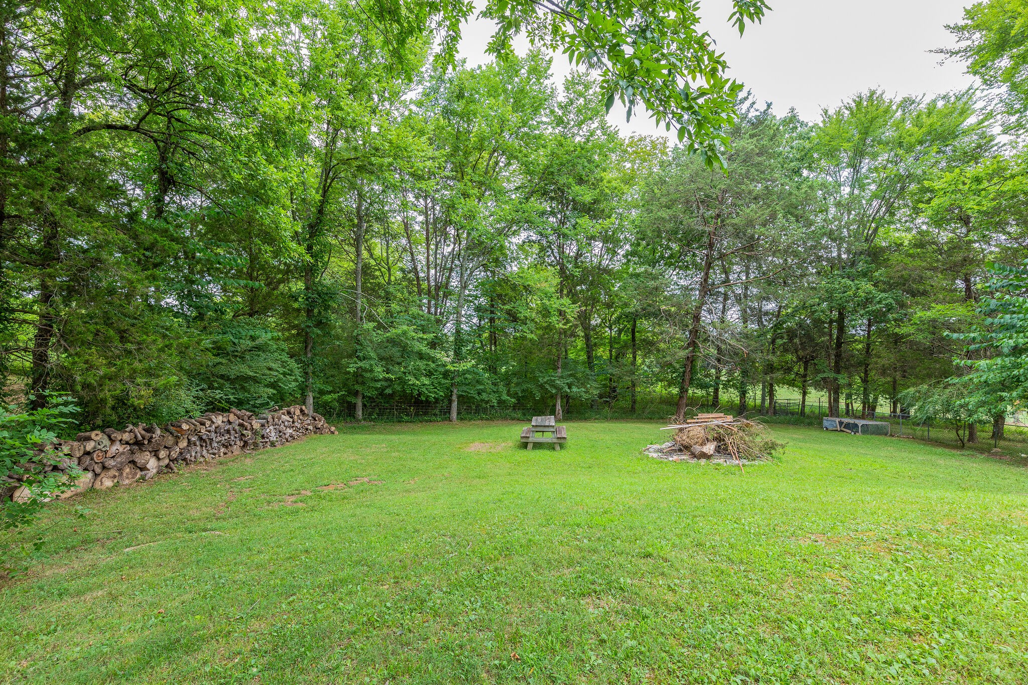 21 Cooks Road Mount Juliet, TN 37122 - Photo 28 of 35 a view of a tree in a yard