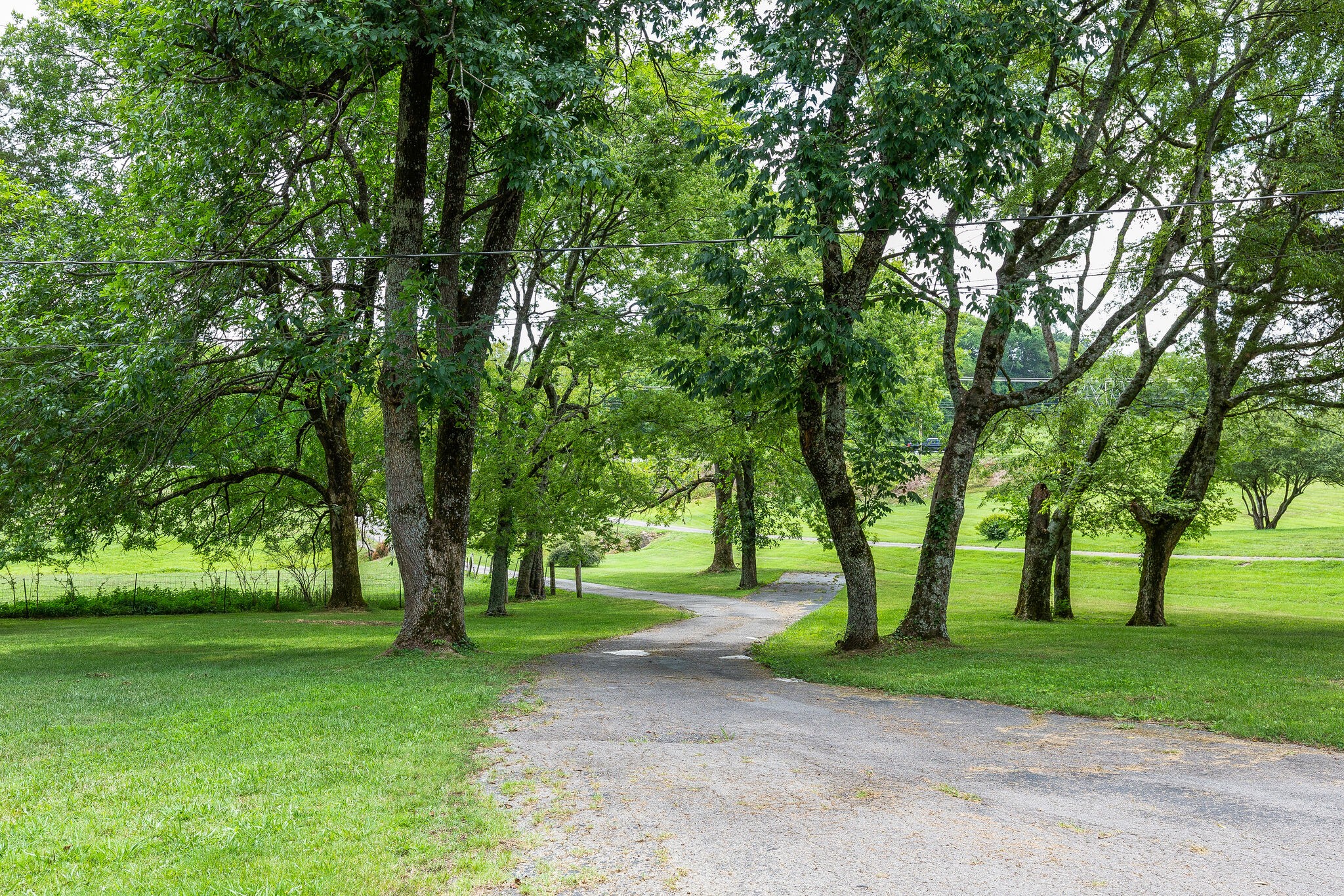 21 Cooks Road Mount Juliet, TN 37122 - Photo 29 of 35 a view of green field with trees