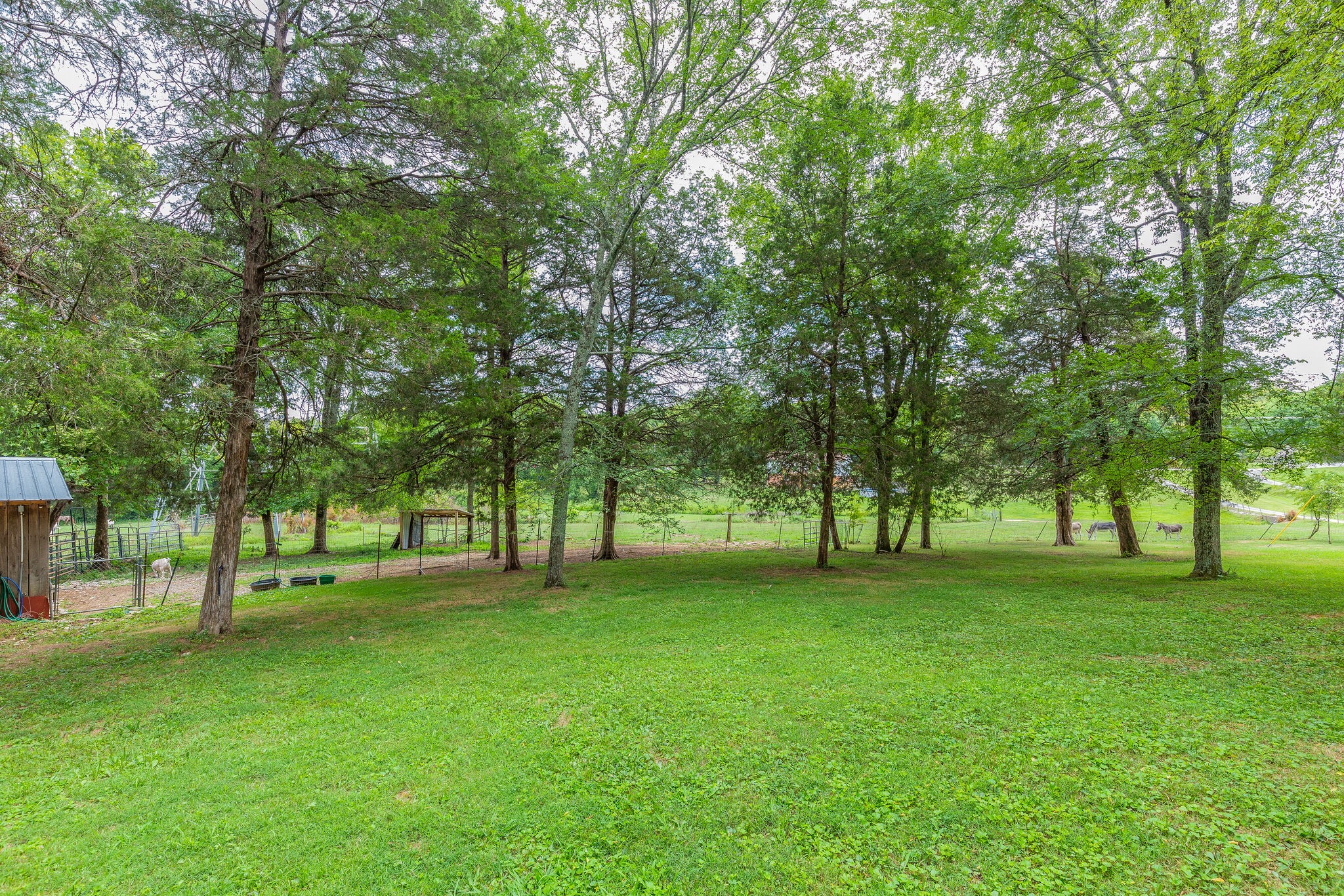 21 Cooks Road Mount Juliet, TN 37122 - Photo 30 of 35 a view of a trees with a big yard