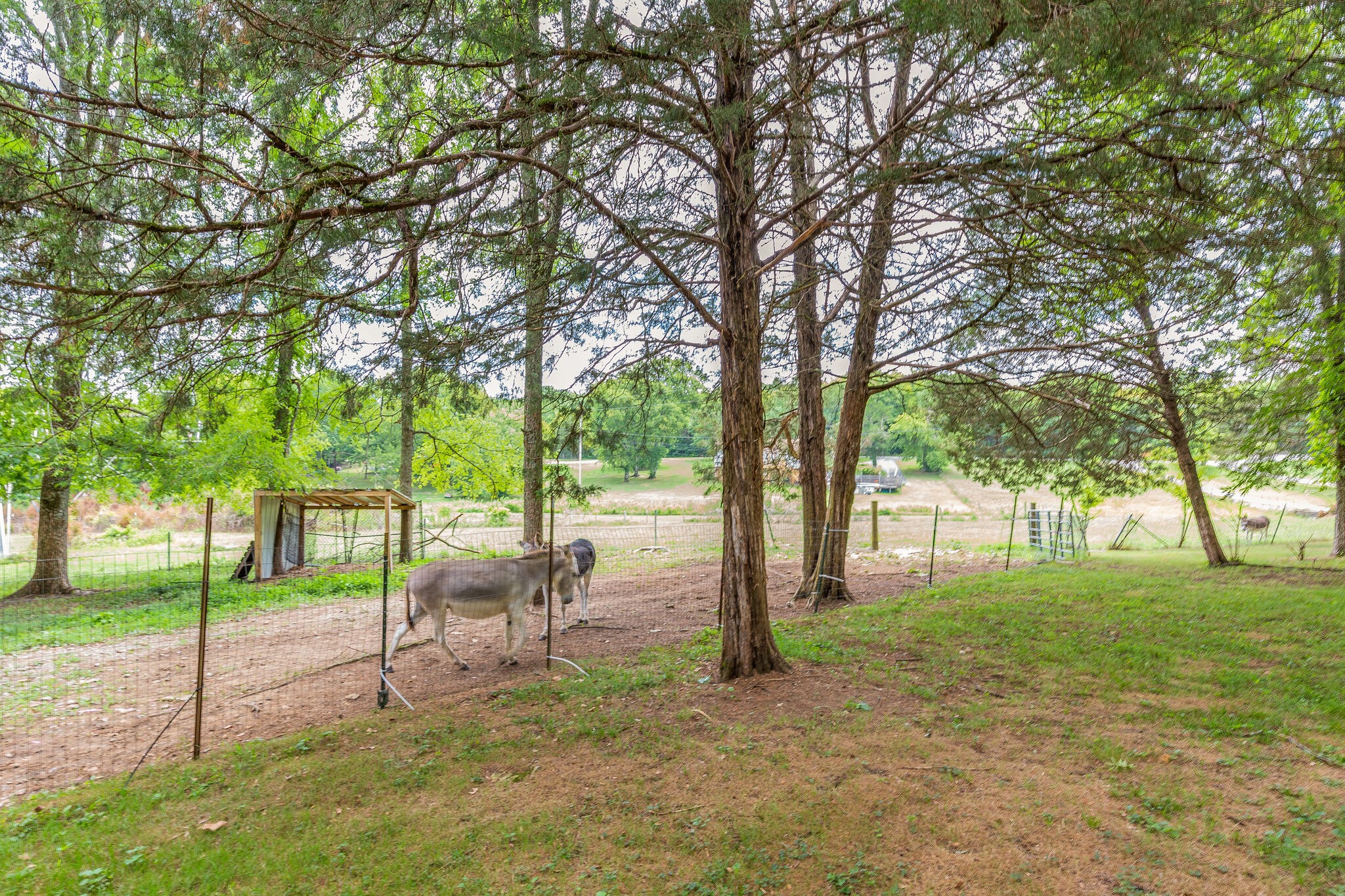 21 Cooks Road Mount Juliet, TN 37122 - Photo 33 of 35 a view of a house with backyard and a tree