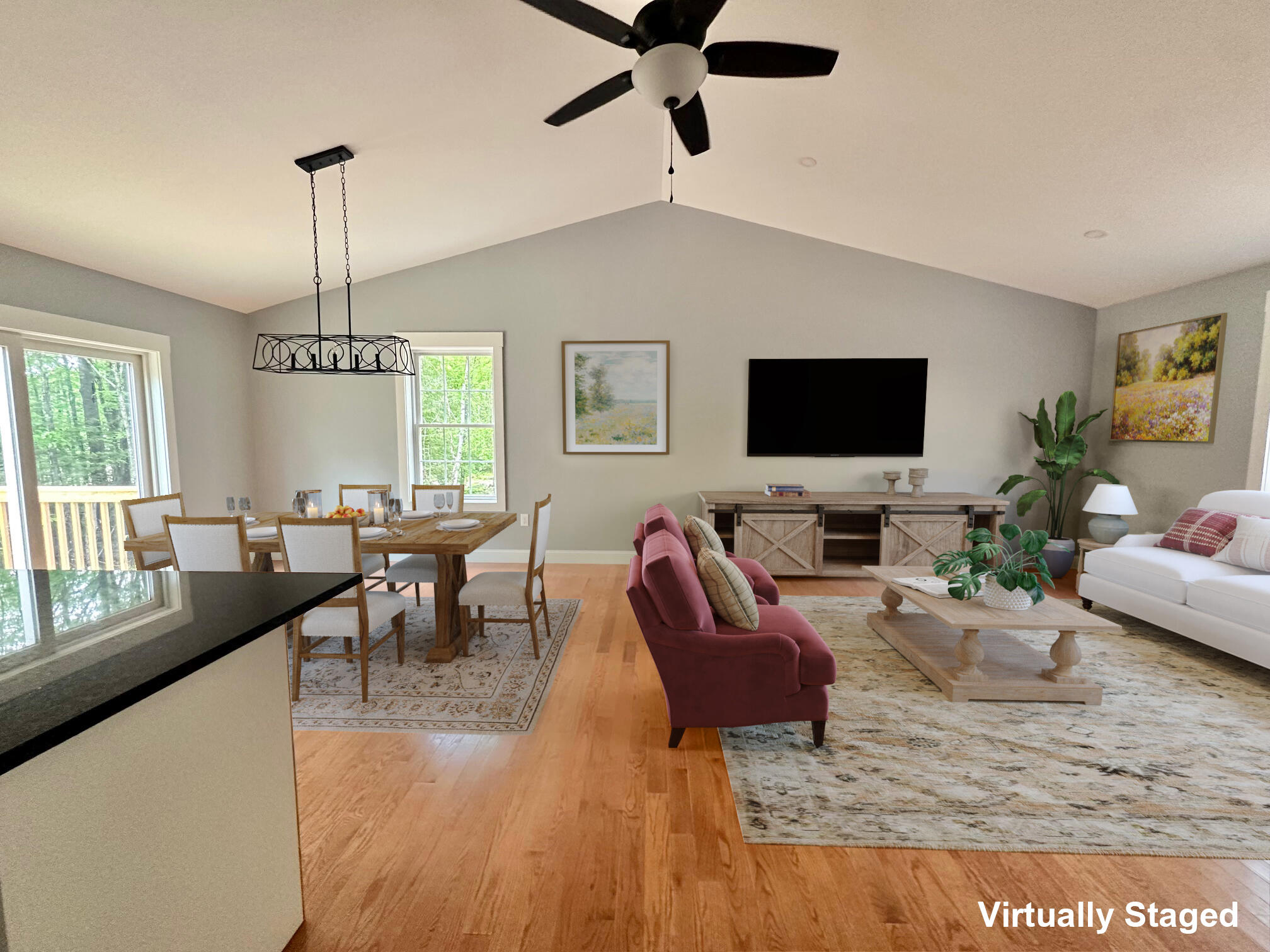 IMG_1501 VS text (1)