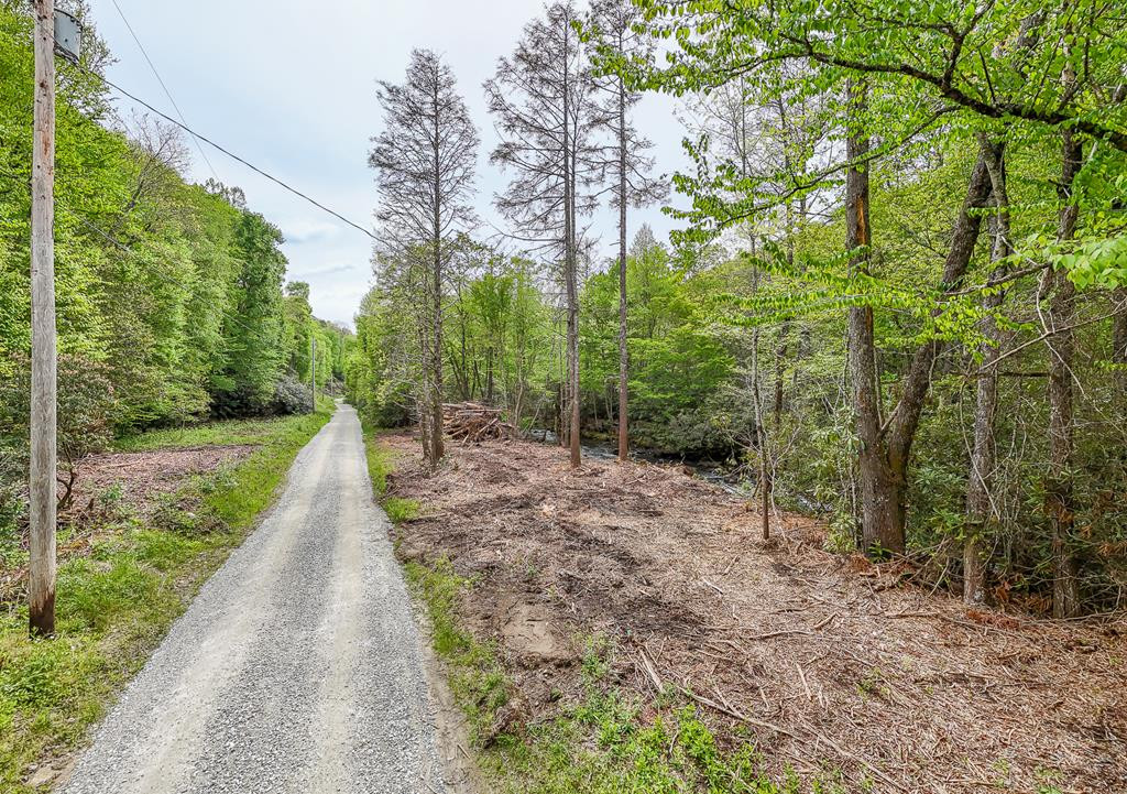 795 Porter Field Gap Road Robbinsville, NC 28771 - Photo 96 of 105