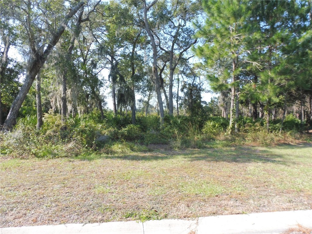 307 Stern Street St. Marys, GA 31558 - Photo 2 of 9