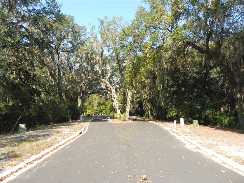 307 Stern Street St. Marys, GA 31558 - Photo 8 of 9