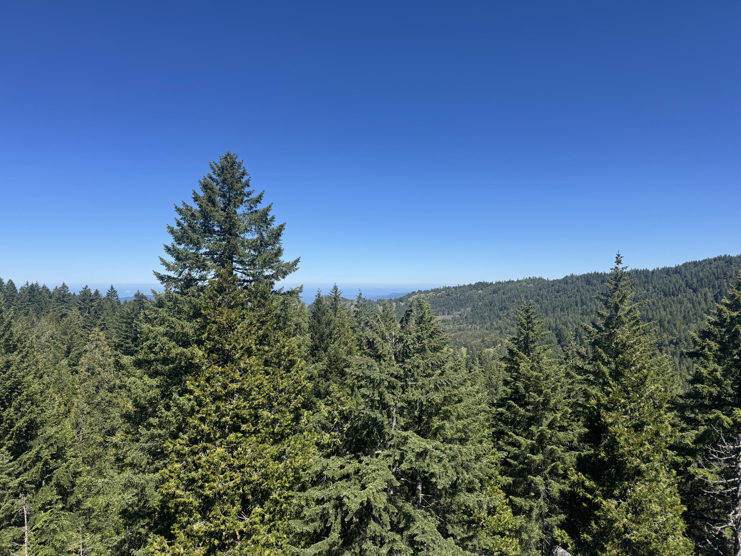 40-acres Snow Camp Road Korbel, CA 95550 - Photo 21 of 26